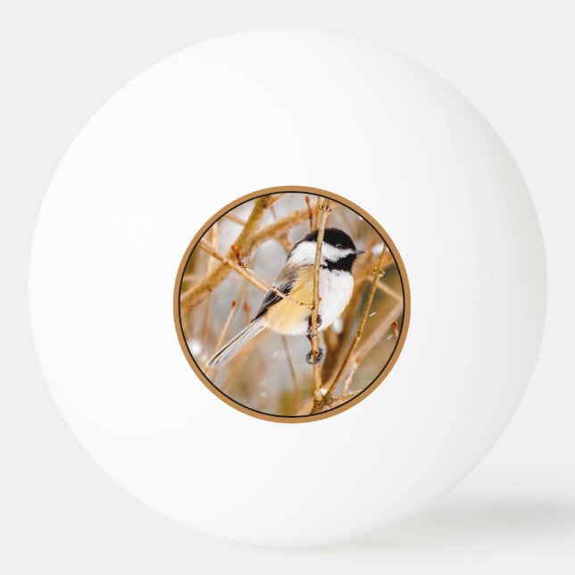 Balle De Ping Pong Chickadee au plafond noir - Photo originale (Devant)