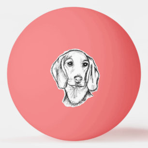 Balle De Ping Pong Chien-chien dragon