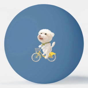 Balle De Ping Pong Chiens et chats Vélo en mer