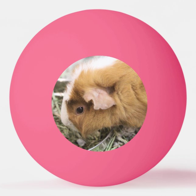 Balle De Ping Pong Clip Casquette de golf Piggy (Devant)