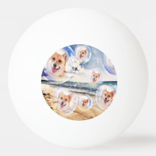 Balle De Ping Pong Corgis de plage