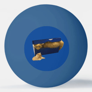 Balle De Ping Pong "Cosy Hideaway : The Ginger Cat in the Shoe Box"