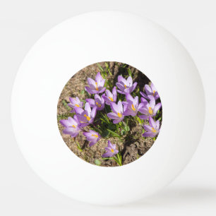 Balle De Ping Pong Crocus de printemps mignons