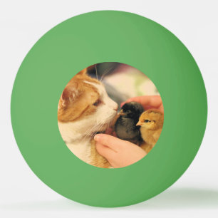 Balle De Ping Pong Cubes