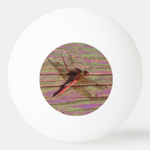 Balle De Ping Pong Dragonfly