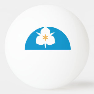 Balle De Ping Pong Drapeau de Salt Lake City, Utah