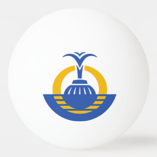 Balle De Ping Pong Drapeau d'Orlando, Floride.