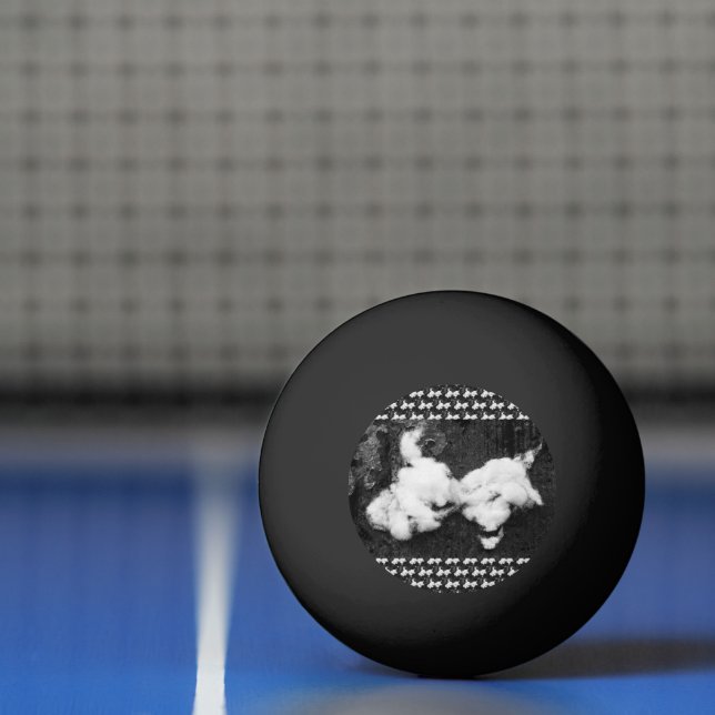 Balle De Ping Pong duvet (Filet)