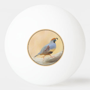 Balle De Ping Pong Gambrel's Quail Painting Original Bird Art