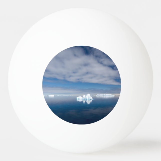 Balle De Ping Pong Glace flottante en Antarctique (Dos)