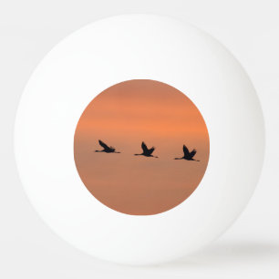 Balle De Ping Pong Grues au lever du soleil