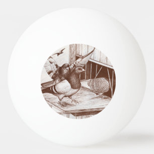 Balle De Ping Pong Homecoming Homecoming Homes