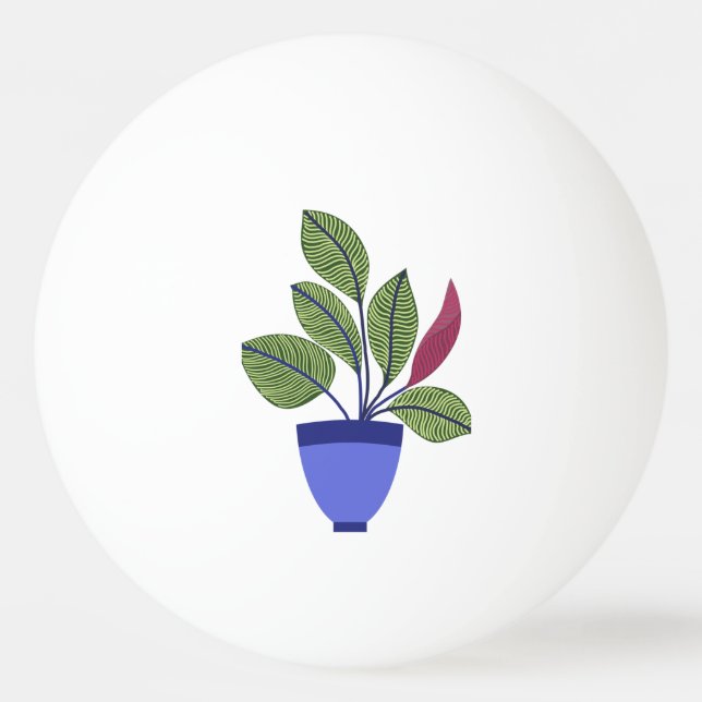 Balle De Ping Pong Houseplant (Devant)