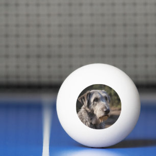 Balle De Ping Pong Irish Wolfhound Je Ne Suis Pas Amusé,