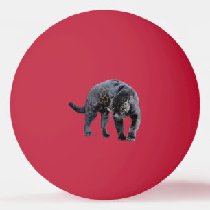 Balle De Ping Pong Jaguar Diablo 1 étoile rouge balle de ping-pong