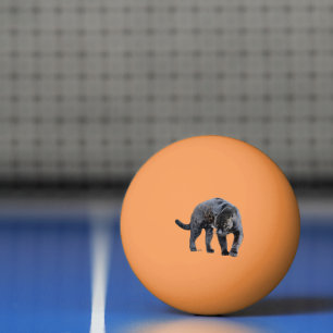 Balle De Ping Pong Jaguar Diablo 3 étoiles orange ping pong ball