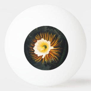 Balle De Ping Pong John Thornton Le Botanique Cereus, Qui Souffle La 