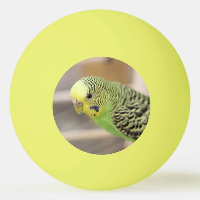 Balle De Ping Pong Kiwi (Devant)