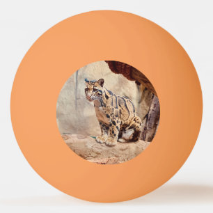 Balle De Ping Pong léopard nébuleux image nature faune exotique