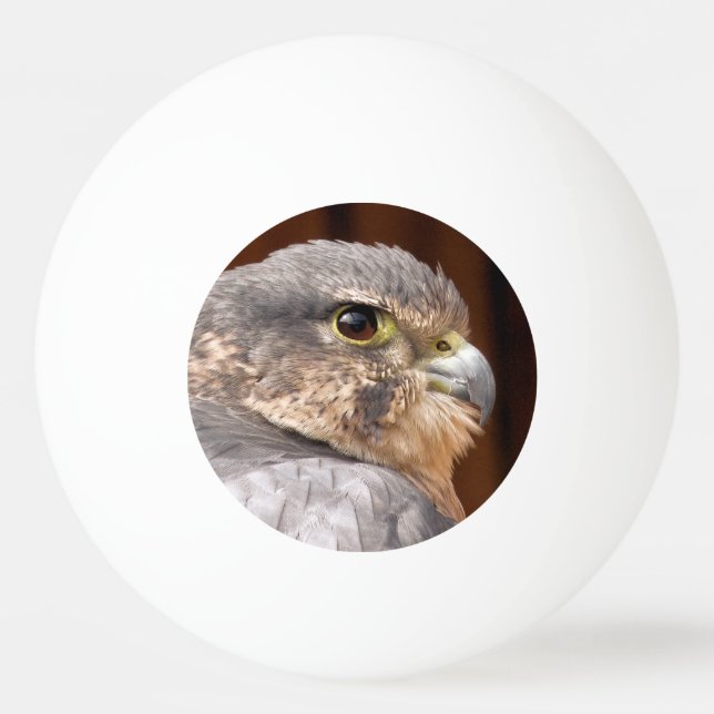 BALLE DE PING PONG MERLIN FALCON OISEAU DE PREY (Devant)