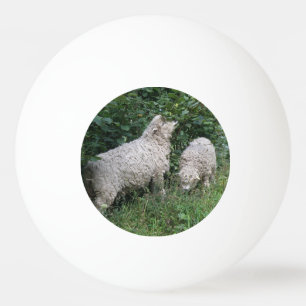 Balle De Ping Pong Mignonne Manger Feuille Ping Pong Ball