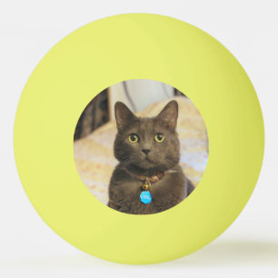 Balle De Ping Pong Mims