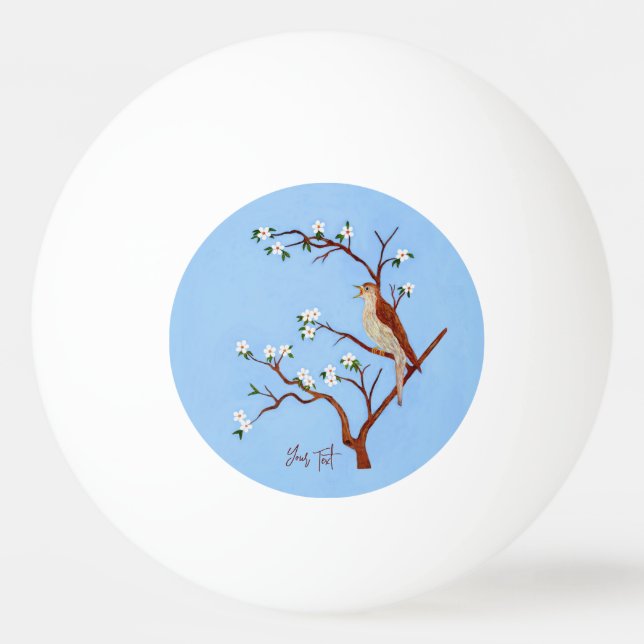 Balle De Ping Pong Nightingale (Devant)