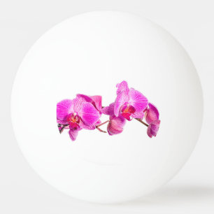 Balle De Ping Pong Orchidée