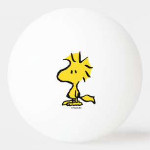 Balle De Ping Pong Peanuts   Snoopy's Friend Woodstock