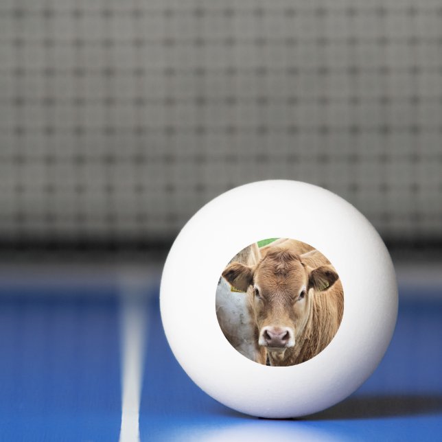 BALLE DE PING PONG PETITE VACHE CUITE (Filet)