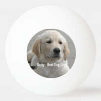 Photo et nom personnalisés Golden Retriever Dog