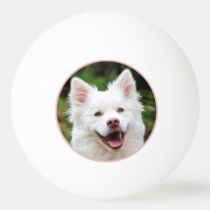 Balle De Ping Pong Photo pour animaux de compagnie encadrée personnal