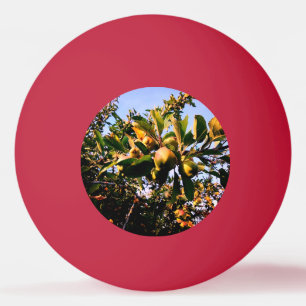 Balle De Ping Pong Pommes