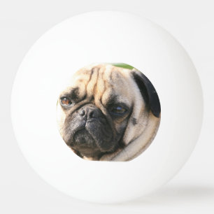 Balle De Ping Pong pug-18