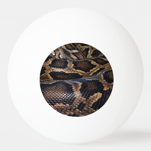 Balle De Ping Pong Python (Devant)