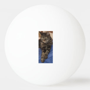 Balle De Ping Pong Regal Dave Une Étoile Ping Pong Ball