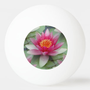 Balle De Ping Pong Rose Lotus Water Lily