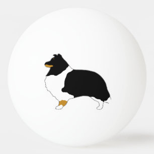Balle De Ping Pong shetland sheepdog noir blanc et tan silo