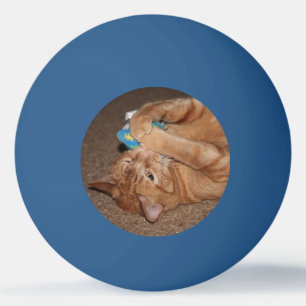 Balle De Ping Pong Tater