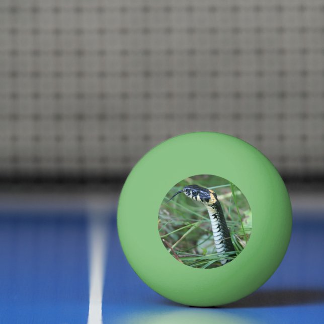 Balle De Ping Pong Tête de serpent (Filet)