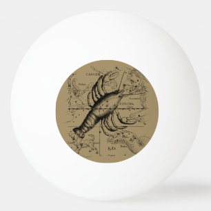 Balle De Ping Pong Vintage Cancer Constellation Map Hevelius 1690