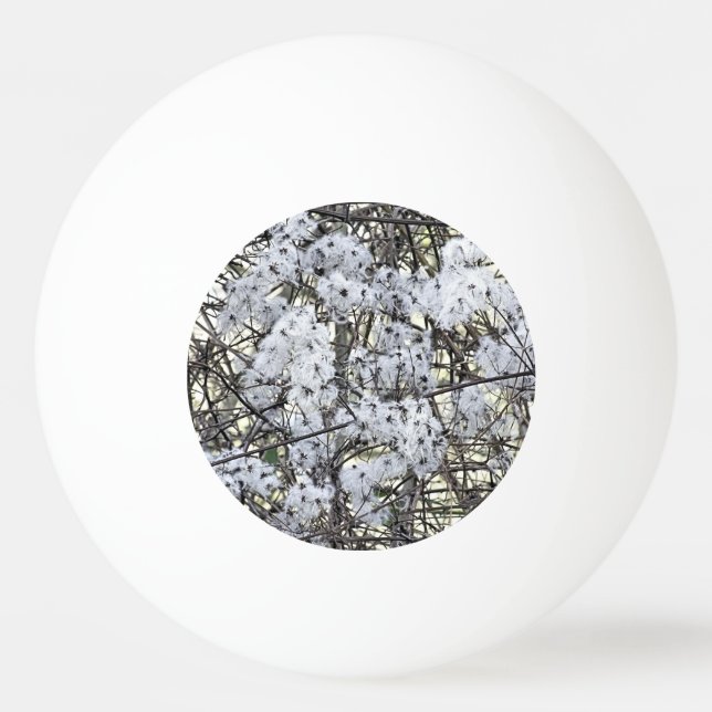 BALLE DE PING PONG WILD CLEMATIS (Devant)