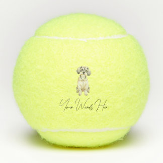 Balle de Schnauzer, cadeau de chien parfait