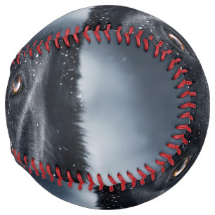 Balle De Softball Black German Shepherd