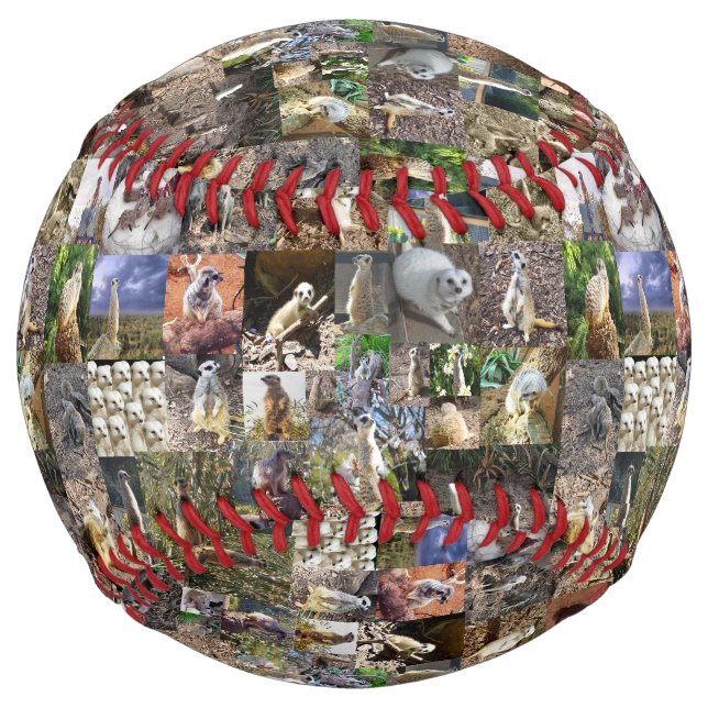 Balle De Softball Collage photo Meerkat, Softball (Devant)