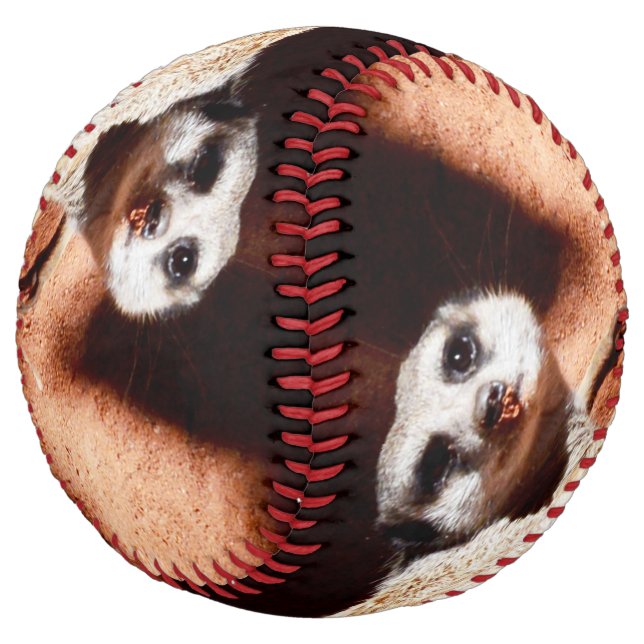 Balle De Softball Découvertes Dusty : Meerkat avec la jupe sur son n (Incliné)