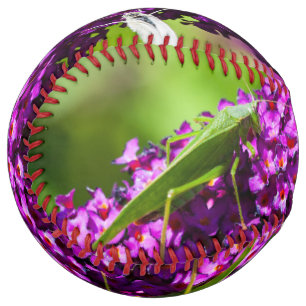 Balle De Softball énergie katydone