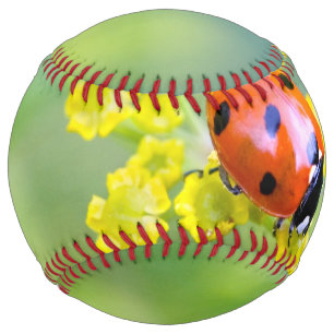 Balle De Softball femme au sommet