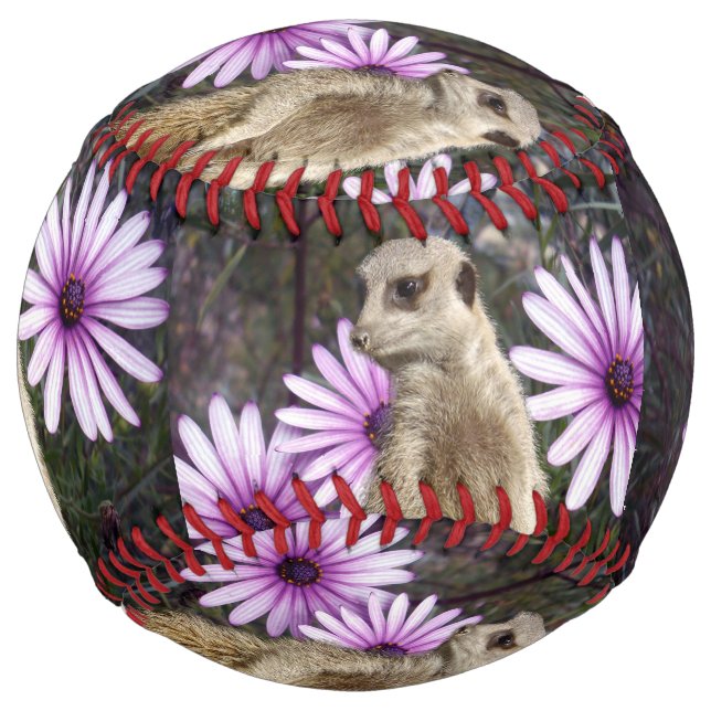 Balle De Softball Fleur Curieuse : Meerkat Parmi Les Marguerites Vio (Devant)