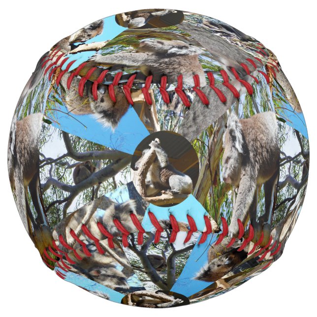 Balle De Softball Koala Bear Collarge, Softball (Devant)